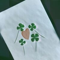 Clover